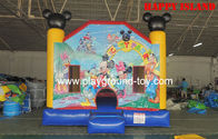 Κίνα Υπαίθρια διογκώσιμη πηδώντας διασκέδαση Michy κάστρων παιδιών για το λούνα παρκ rql-00502 διανομέας 